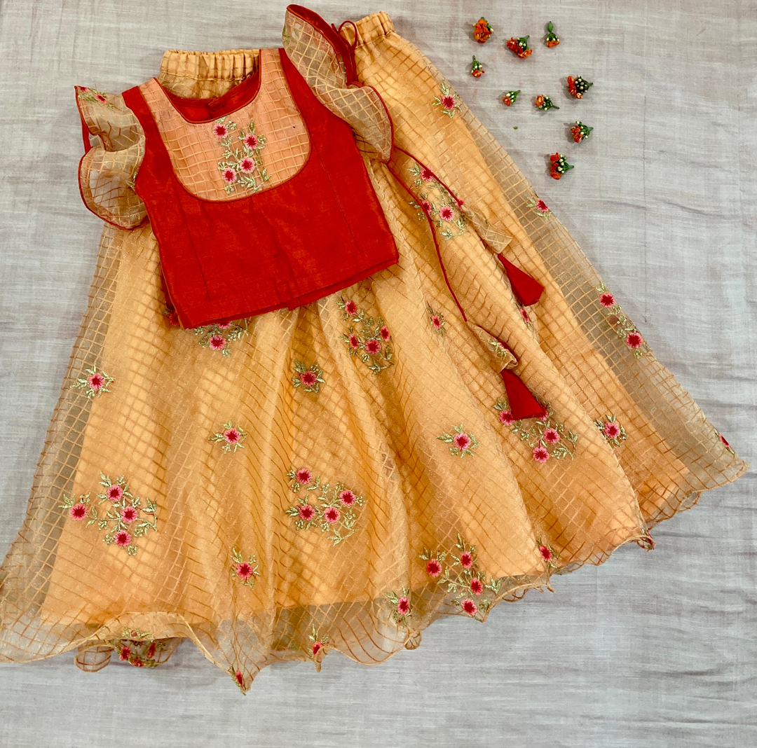 Girls Peach & Red Lehenga Choli
