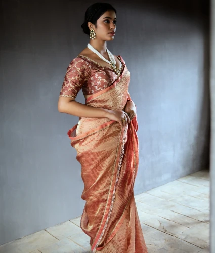 Brown Tissue Saree with Handwork Blouse