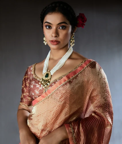 Brown Tissue Saree with Handwork Blouse