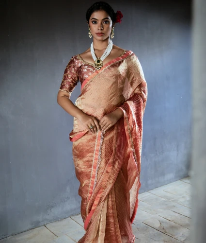 Brown Tissue Saree with Handwork Blouse